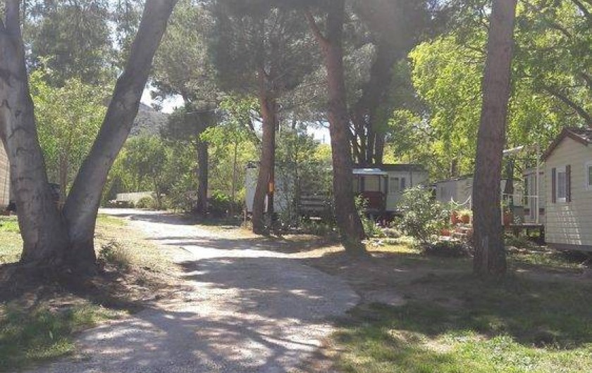Location de vacances - Camping à Argelès-sur-Mer
