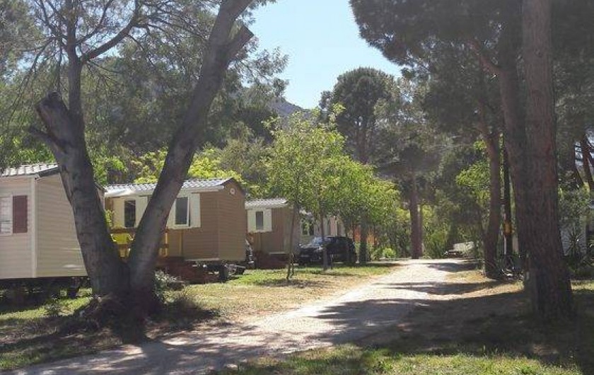 Location de vacances - Camping à Argelès-sur-Mer