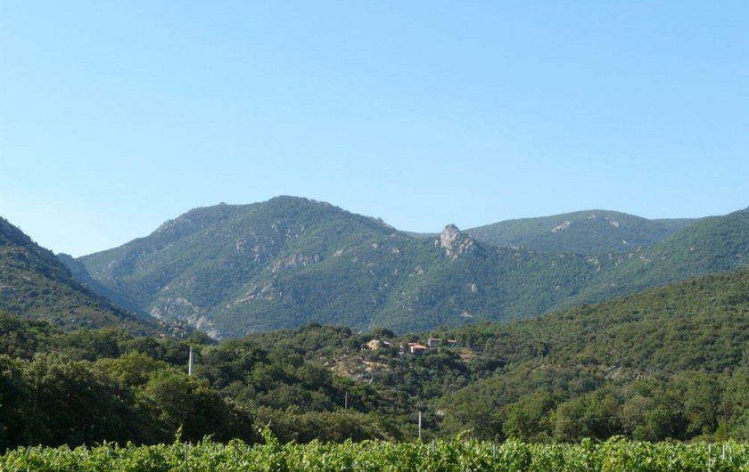 Location de vacances - Camping à Argelès-sur-Mer