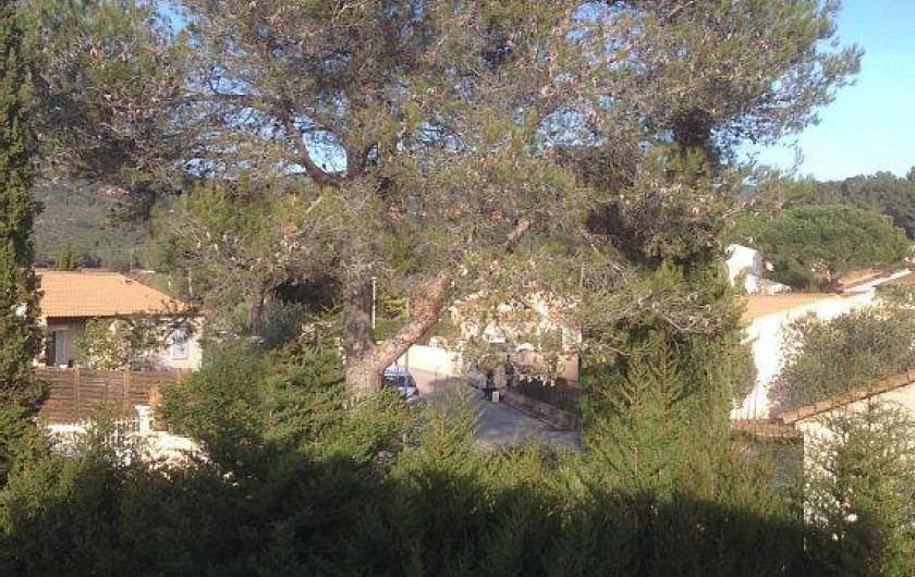 Location de vacances - Villa à Roquebrune-sur-Argens