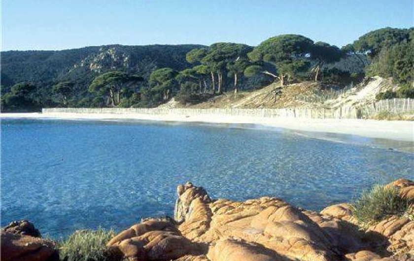 Location de vacances - Appartement à Porto-Vecchio