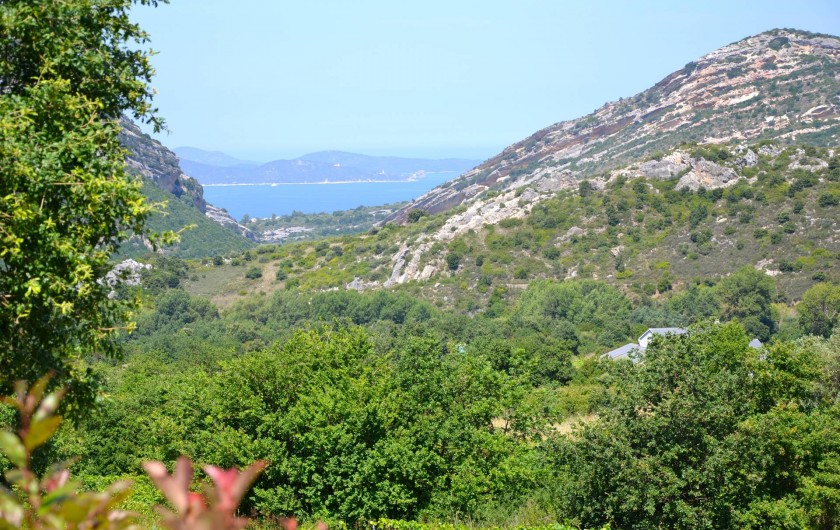 Location de vacances - Villa à Patrimonio