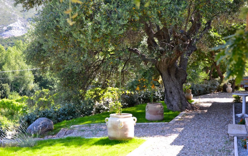 Location de vacances - Villa à Patrimonio