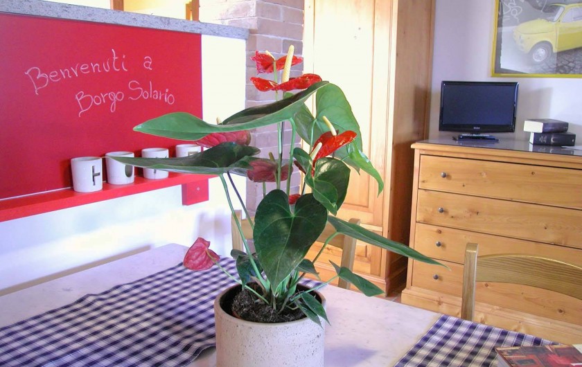 Location de vacances - Appartement à Castiglione del Lago - Séjour app. "Terra"