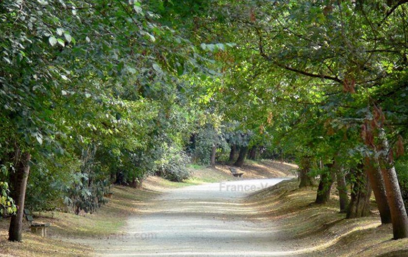 Location de vacances - Chalet à Pompiey - chemins