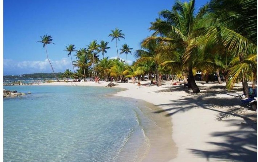 Location de vacances - Appartement à Sainte-Anne