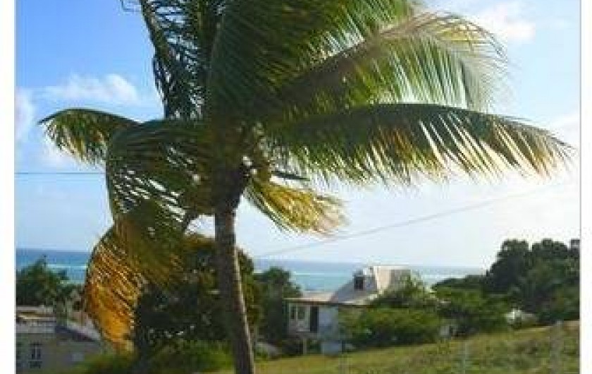 Location de vacances - Appartement à Sainte-Anne