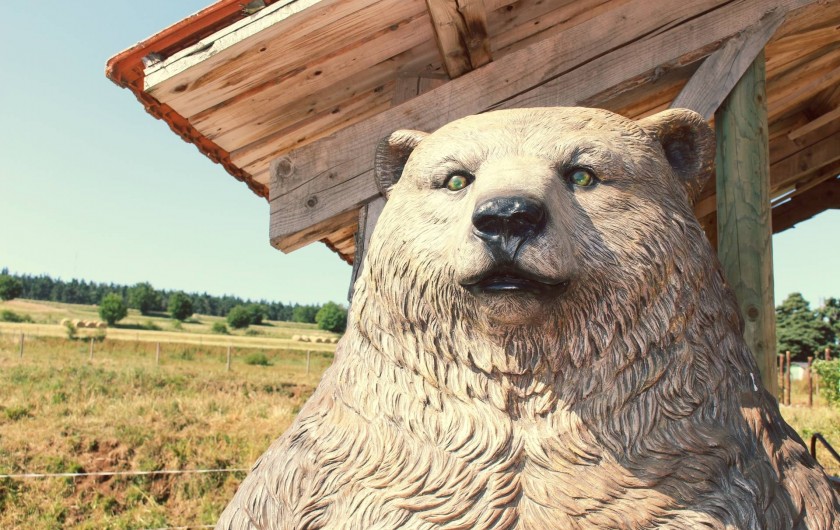 Location de vacances - Gîte à Coucouron - Le Grizzly vous accueille !