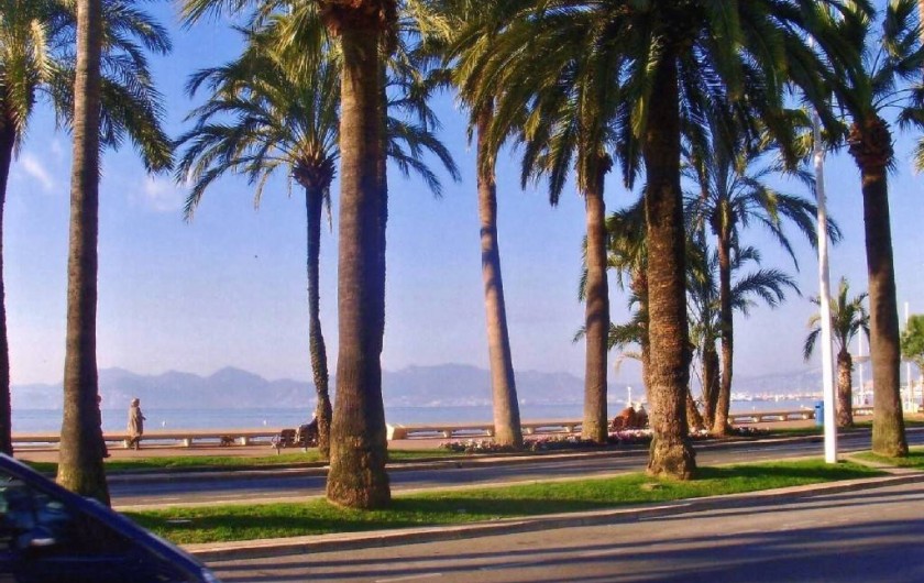 Location de vacances - Appartement à Cannes - Vue sur La Croisette