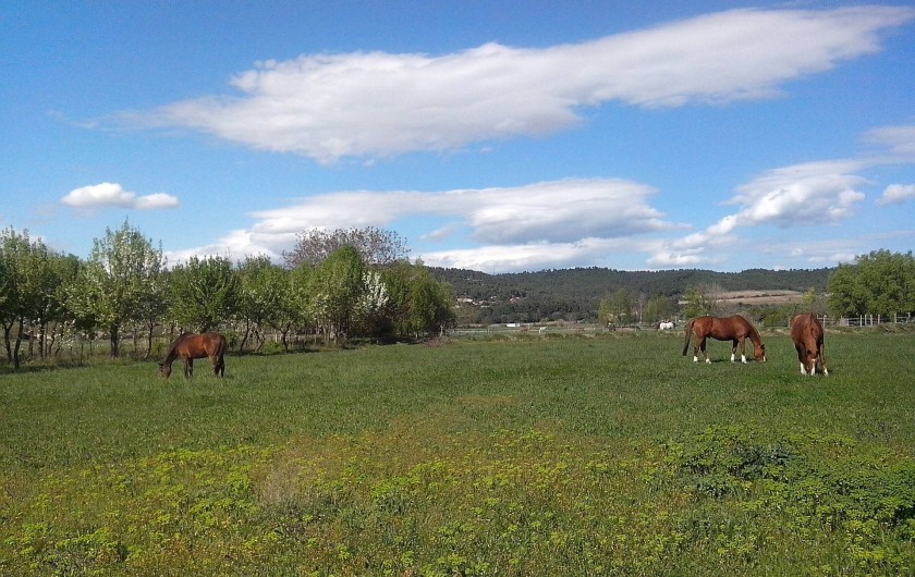 Location de vacances - Chambre d'hôtes à Villelaure - les prairies