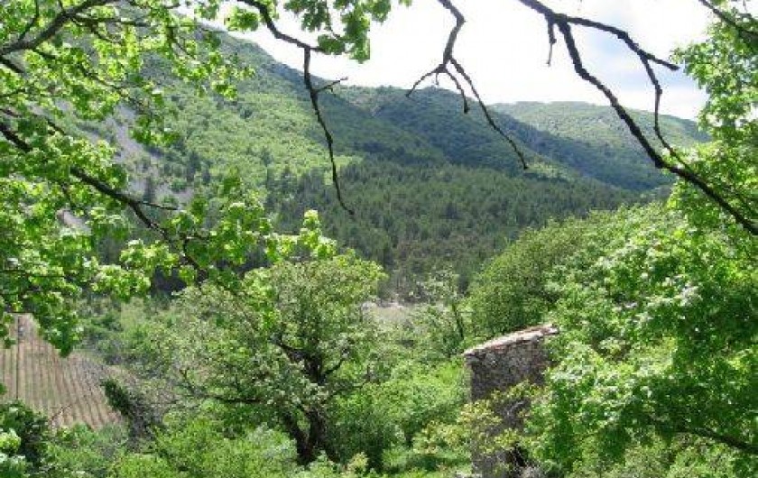 Location de vacances - Gîte à Castellet