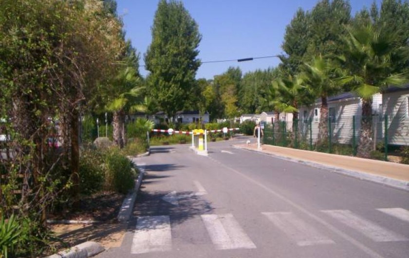 Location de vacances - Bungalow - Mobilhome à Fréjus