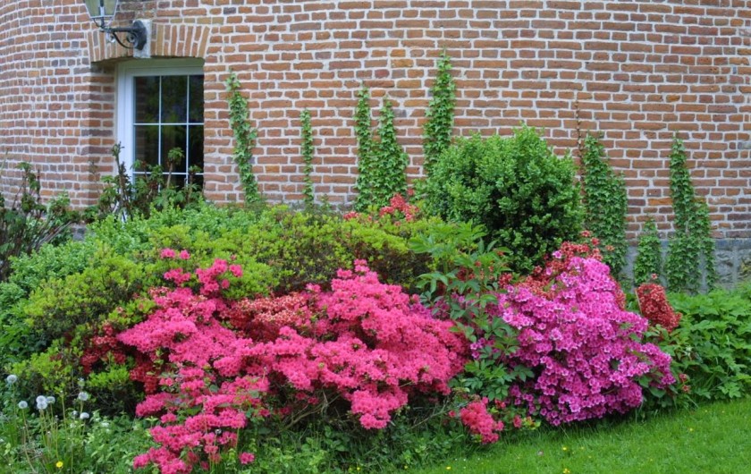 Location de vacances - Chambre d'hôtes à Bertrimont