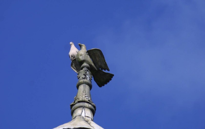 Location de vacances - Chambre d'hôtes à Bertrimont - HAUT COLOMBIER