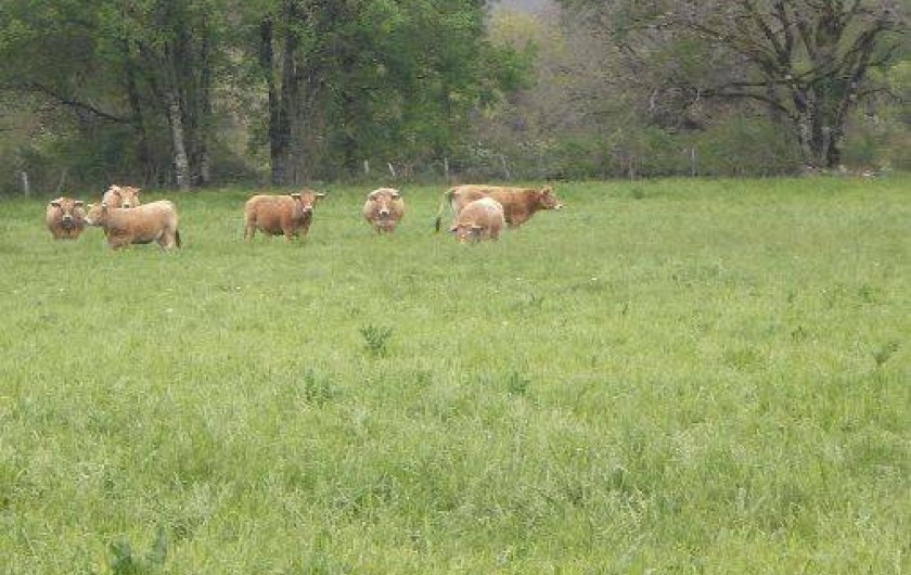 Location de vacances - Villa à Labastide-Murat