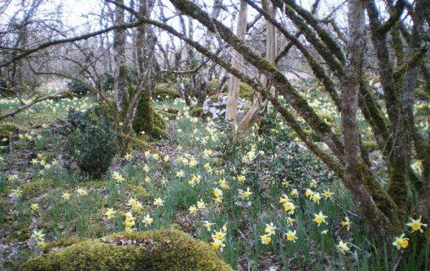 Location de vacances - Villa à Labastide-Murat