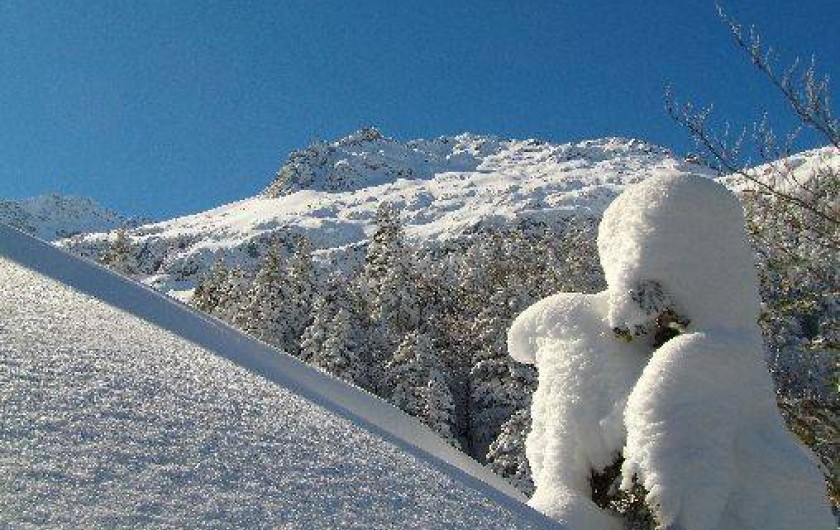 Location de vacances - Gîte à Seix
