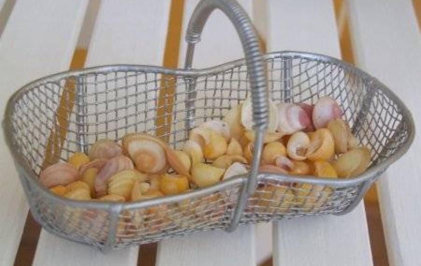 Location de vacances - Chambre d'hôtes à Camoël - Les littorines