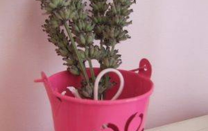 Location de vacances - Chambre d'hôtes à Camoël - Les salicornes