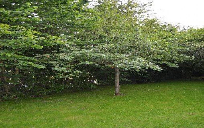 Location de vacances - Gîte à Saint-Malo