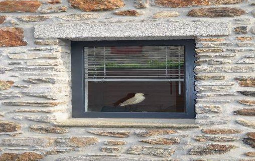 Location de vacances - Gîte à Saint-Malo