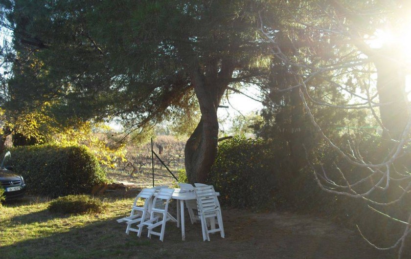 Location de vacances - Mas à Vaison-la-Romaine