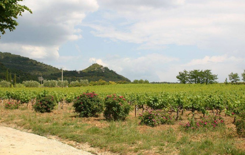 Location de vacances - Mas à Vaison-la-Romaine