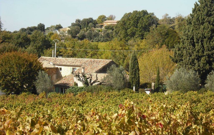 Location de vacances - Mas à Vaison-la-Romaine