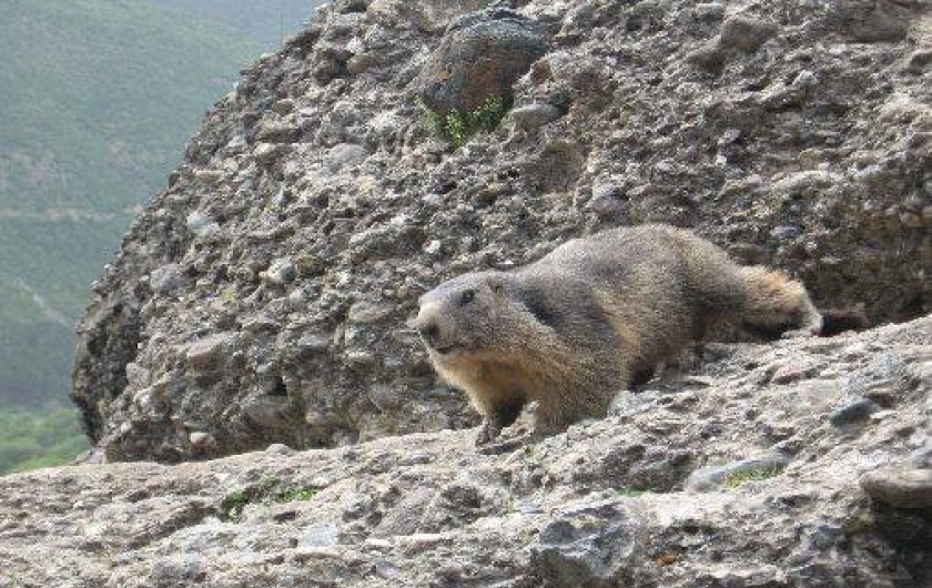 Location de vacances - Gîte à Saint-Crepin