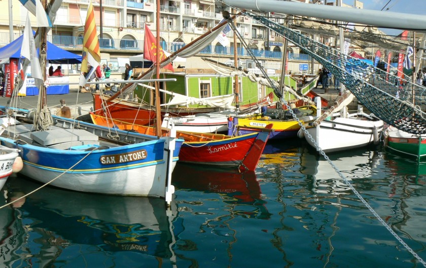Location de vacances - Studio à Sète - Barques catalanes dans le port des petits métiers