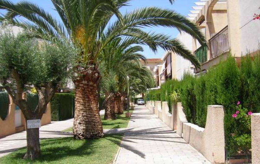 Location de vacances - Appartement à Dénia