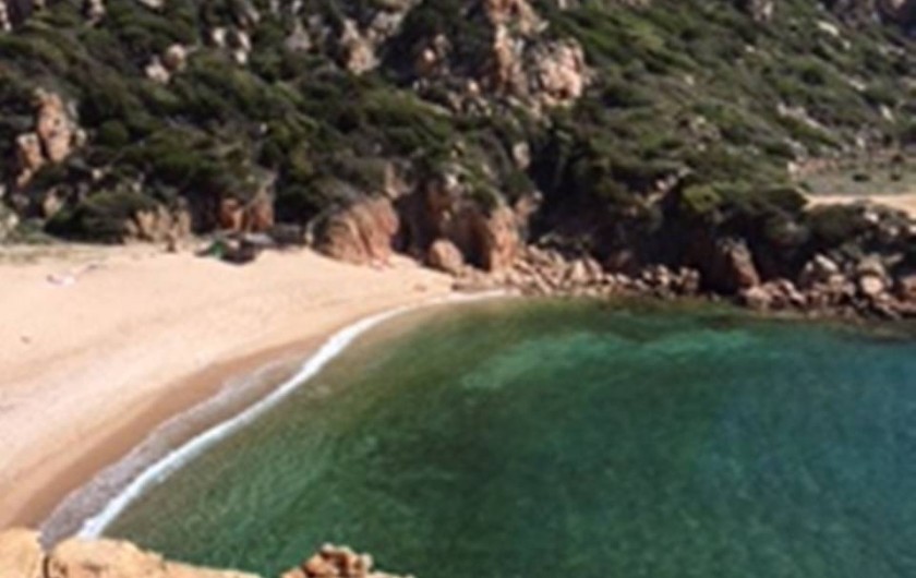 Location de vacances - Appartement à Lu Bagnu - Alentour