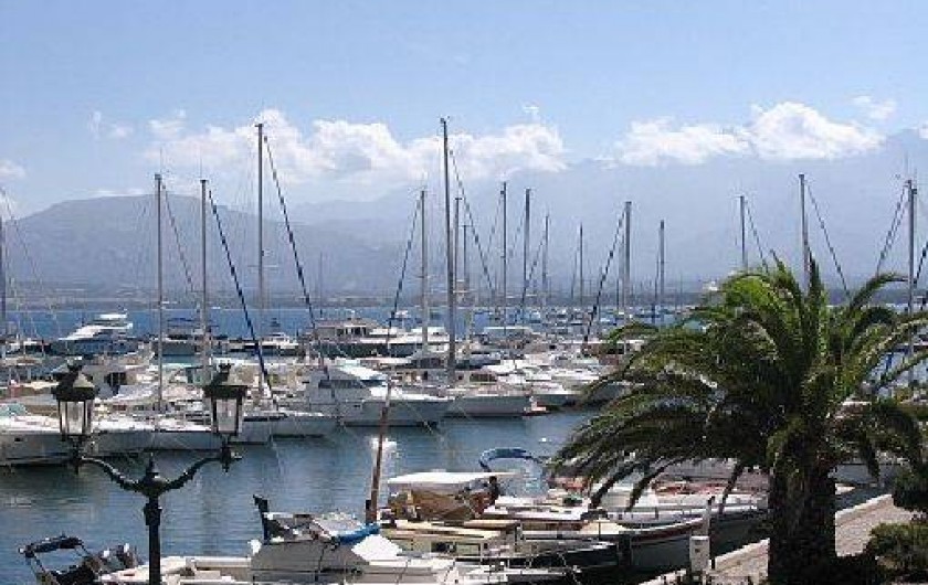 Location de vacances - Appartement à Calvi