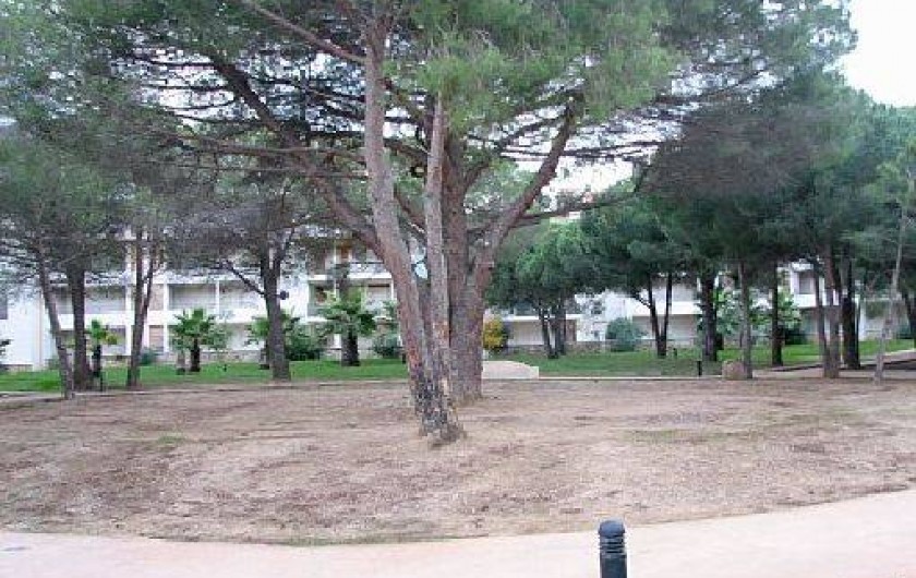 Location de vacances - Appartement à Calvi