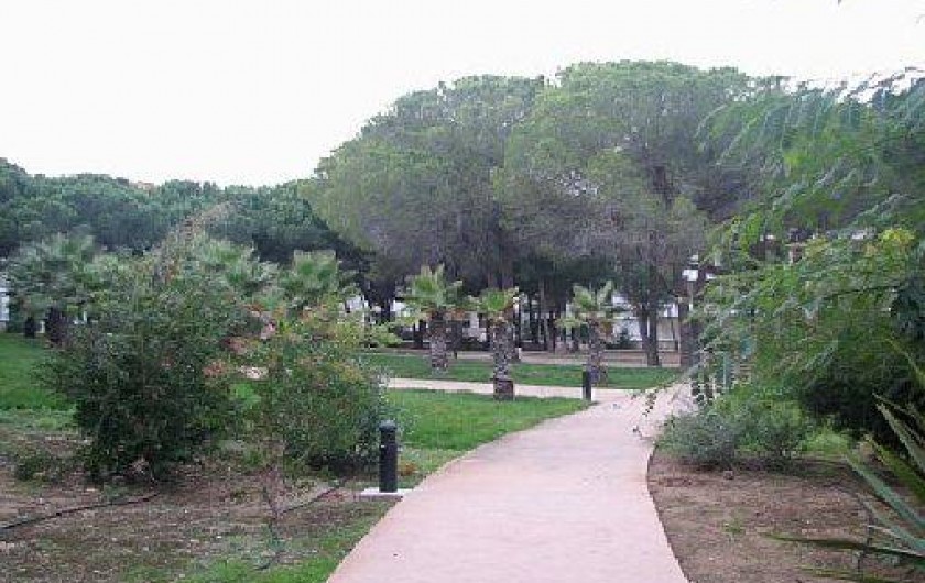 Location de vacances - Appartement à Calvi