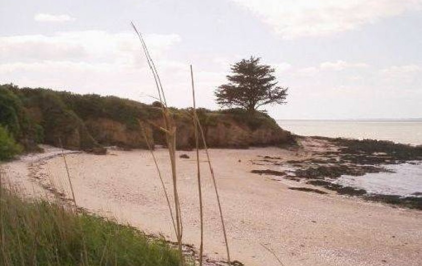 Location de vacances - Gîte à Pénestin