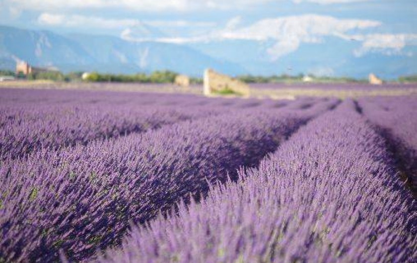 Location de vacances - Villa à Villeneuve