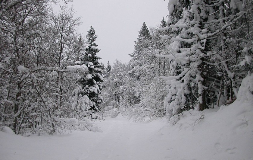 Location de vacances - Gîte à Songieu