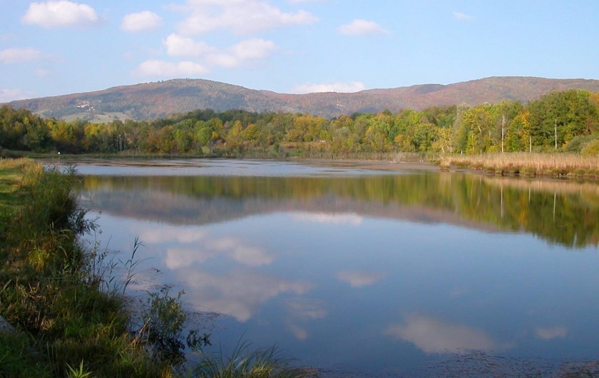 Location de vacances - Gîte à Songieu