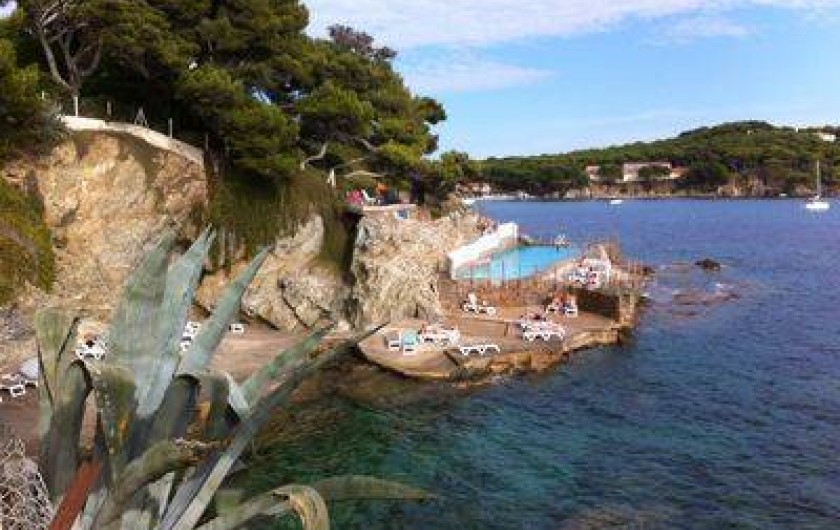 Location de vacances - Villa à Hyères - Piscine d'été - Port du Niel