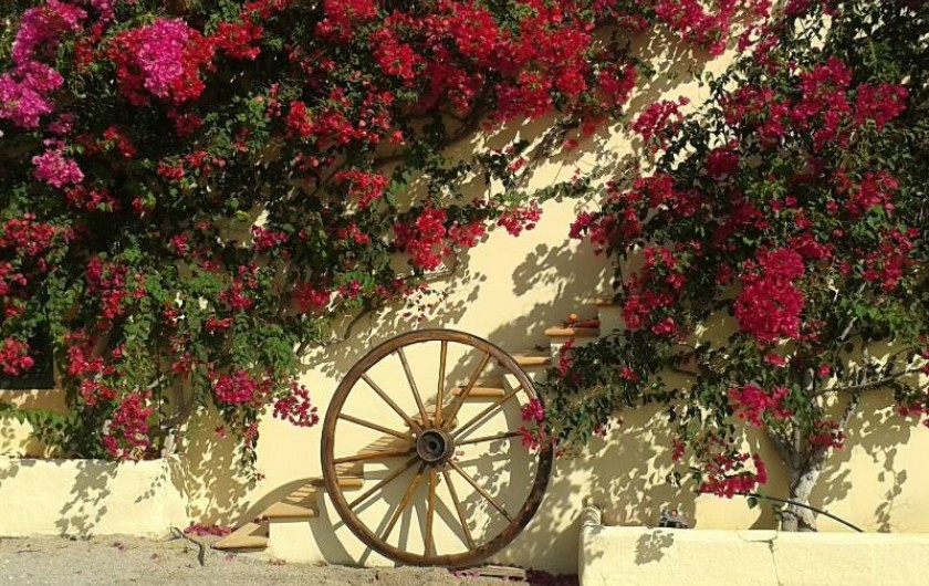 Location de vacances - Chambre d'hôtes à Capdepera