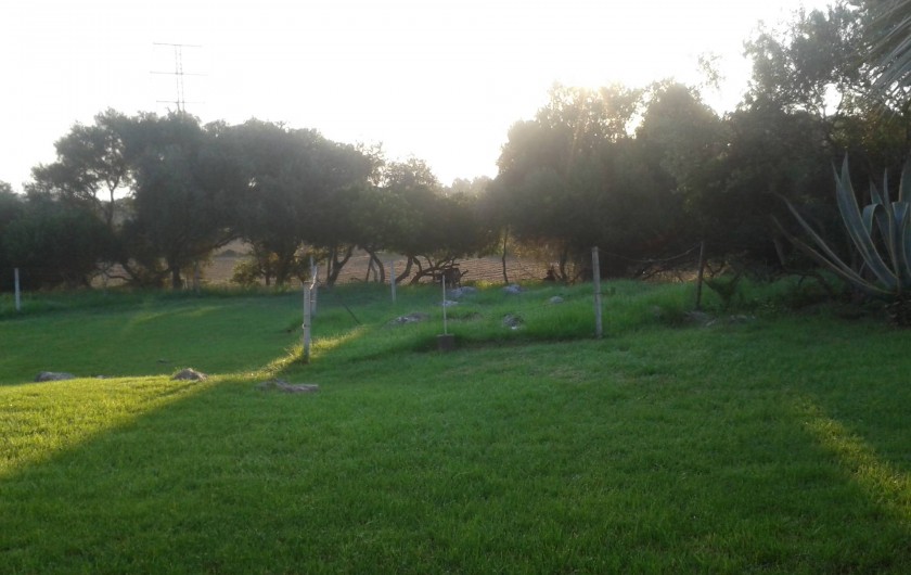 Location de vacances - Chambre d'hôtes à Capdepera