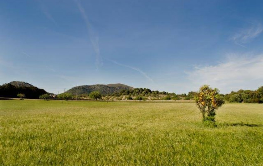 Location de vacances - Chambre d'hôtes à Capdepera