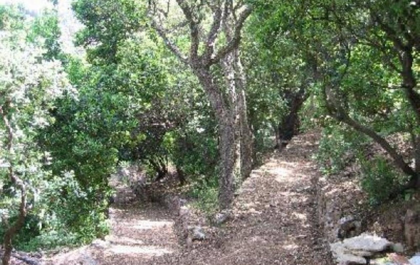 Location de vacances - Villa à Les Issambres - accès jeux de boules