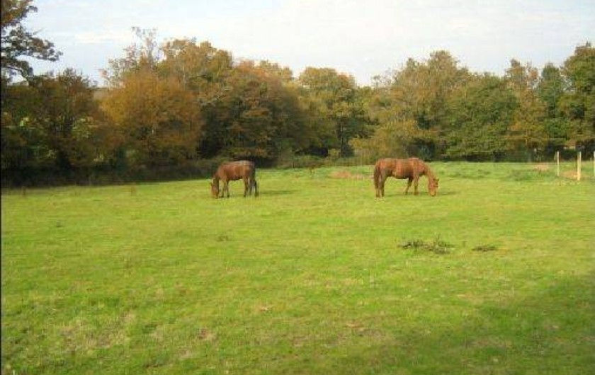 Location de vacances - Gîte à Redon