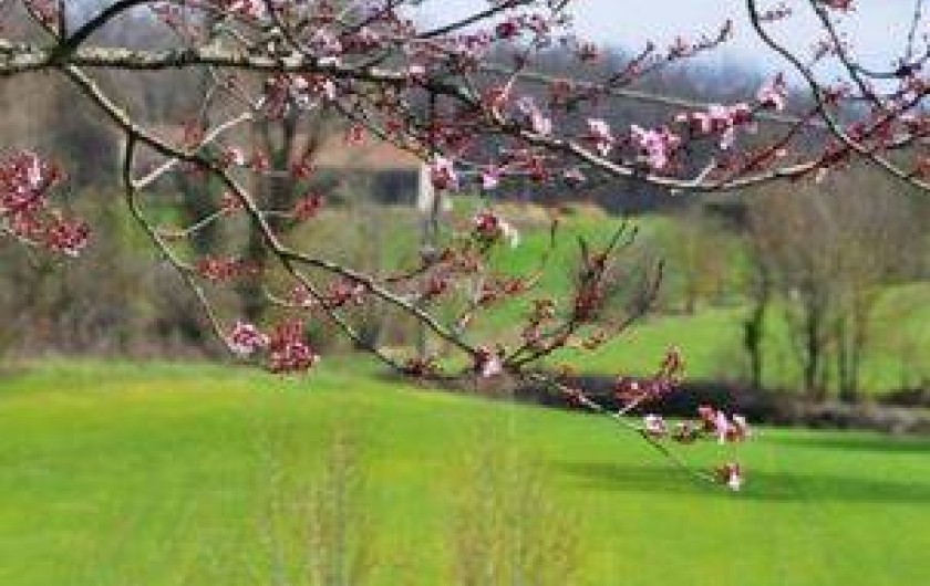 Location de vacances - Gîte à Pailloles - VUE SUR LA CAMPAGNE ENVIRONNANTE