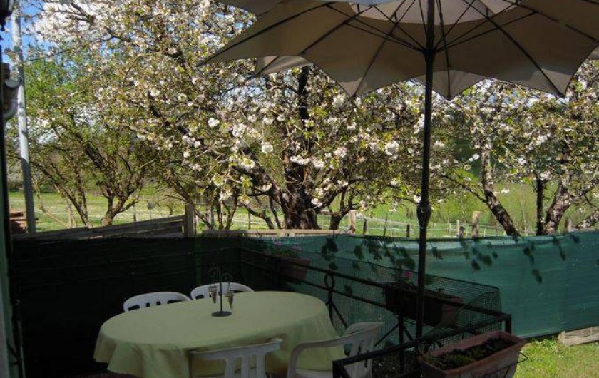 Location de vacances - Gîte à Pailloles - TERRASSE JARDIN PRIVATIF