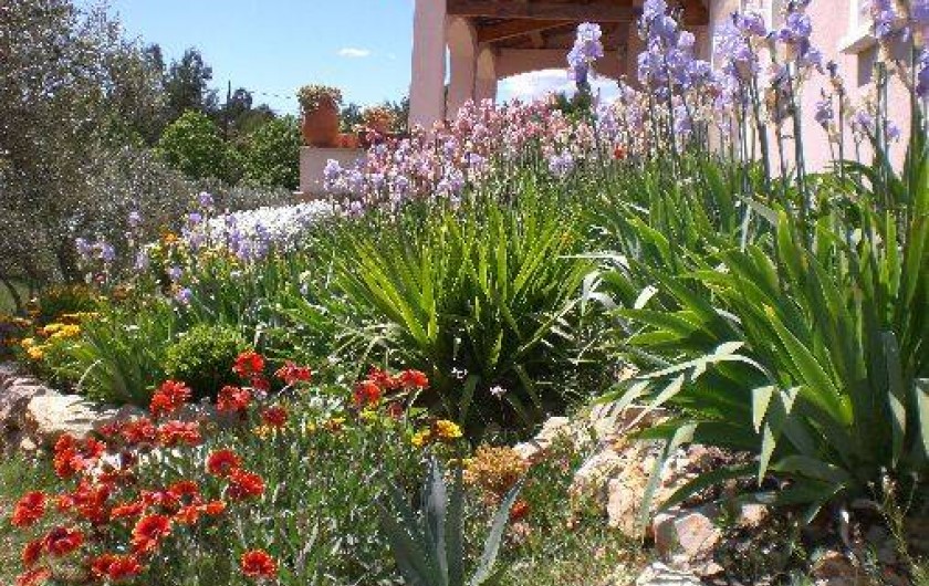 Location de vacances - Villa à Trans-en-Provence