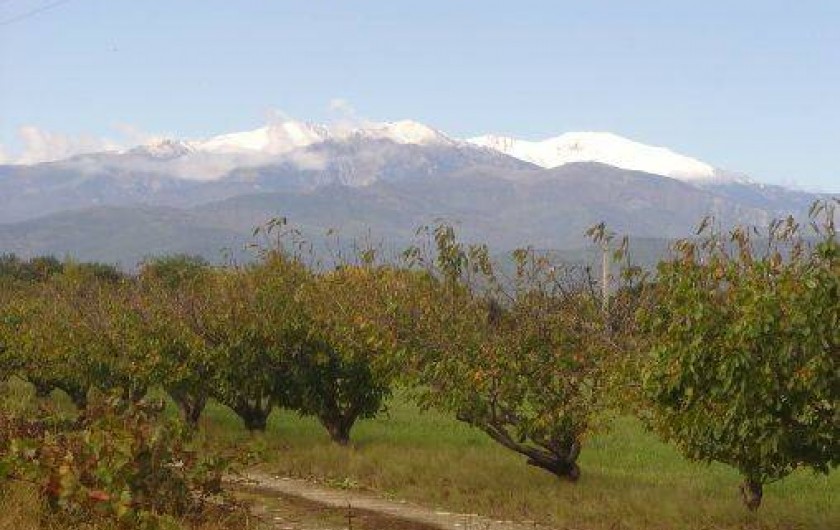 Location de vacances - Maison - Villa à Saint-Jean-Pla-de-Corts