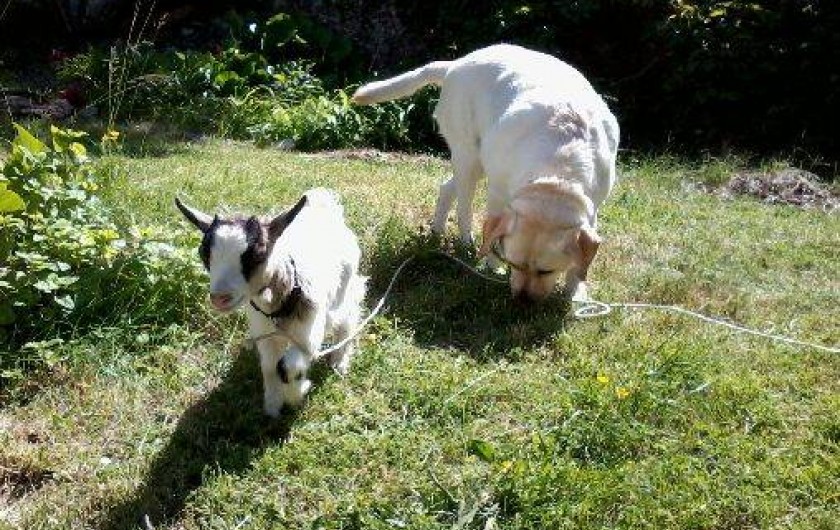 Location de vacances - Gîte à Châteauneuf-Val-Saint-Donat